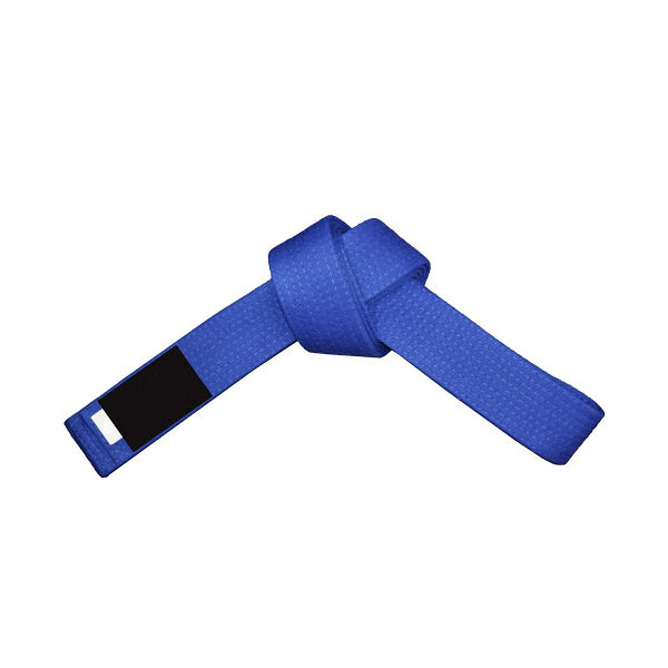 DS-320 Belt