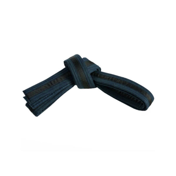 DS-318 Belt
