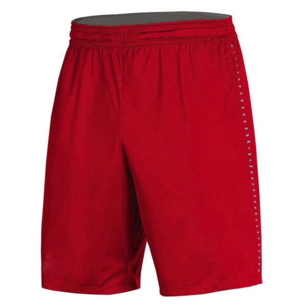 DS-234 Men Workout Shorts