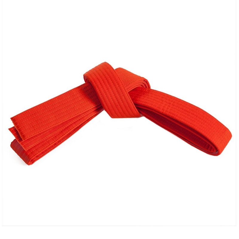 DS-315 Belt.
