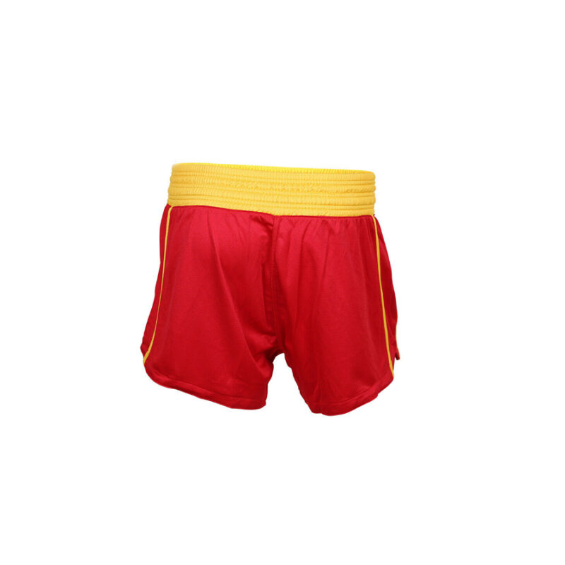 DS-420 MMA Short - Image 4