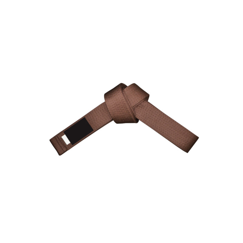 DS-319 Belt