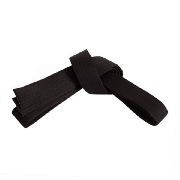 DS-317 Belt