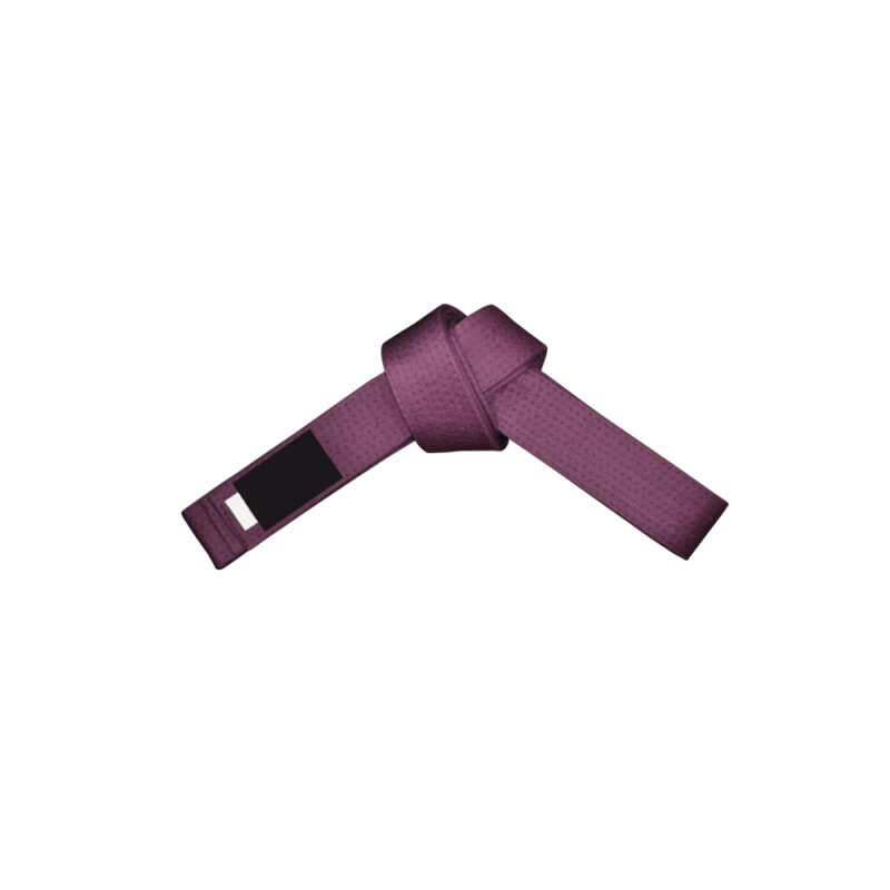 DS-319 Belt - Image 2