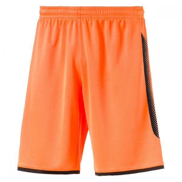 DS-238 Men Workout Shorts