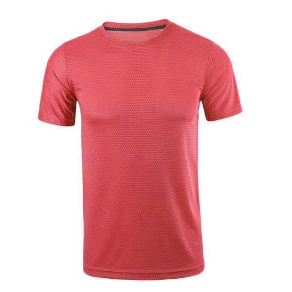 DS-221 Men Gym T-Shirts