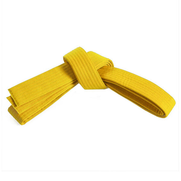 DS-315 Belt.