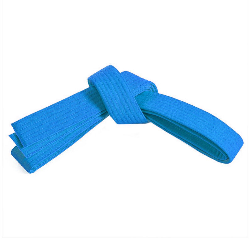 DS-315 Belt. - Image 3
